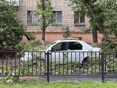 В центре Саратова легковушку завалило оторвавшимися ветвями