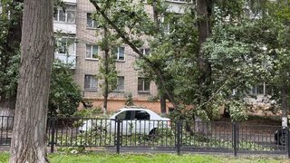 В центре Саратова легковушку завалило оторвавшимися ветвями