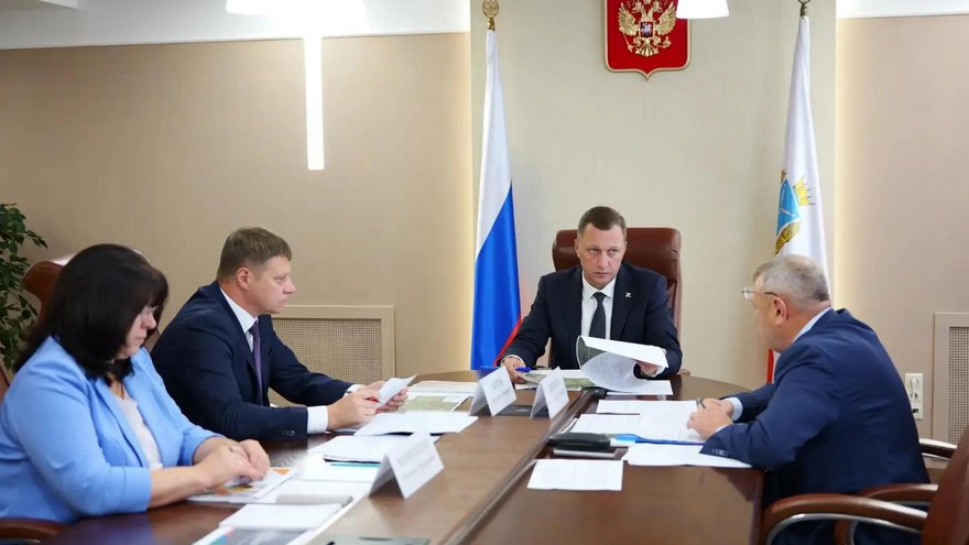 В Саратовской области за осень собираются высадить 1,3 тысячи гектаров леса