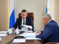 В Саратовской области за осень собираются высадить 1,3 тысячи гектаров леса