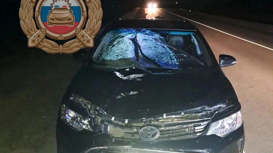 В Саратовской области легковушка насмерть сбила прохожего