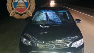 В Саратовской области легковушка насмерть сбила прохожего