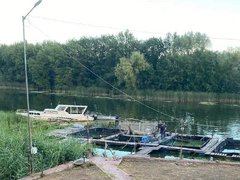В Саратове водитель катера разбился насмерть