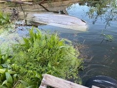 В Саратове водитель катера разбился насмерть