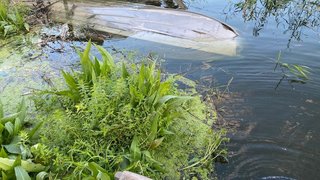 В Саратове водитель катера разбился насмерть