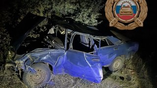 Под Саратовом пенсионер погиб в опрокинувшейся семерке