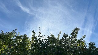 Погода в Саратовской области: тепло и сухо в последний день лета