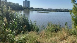 В Саратове в пруду нашли труп женщины