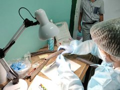 Ученые собираются выяснить, откуда пришли племена на территорию нынешней Саратовской области десятки тысячи лет назад