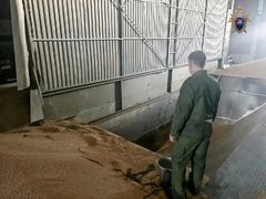 Имена еще 200 бойцов СВО увековечили в Саратове
