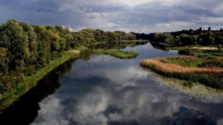 Саратовцы могут получить грант на экологические проекты