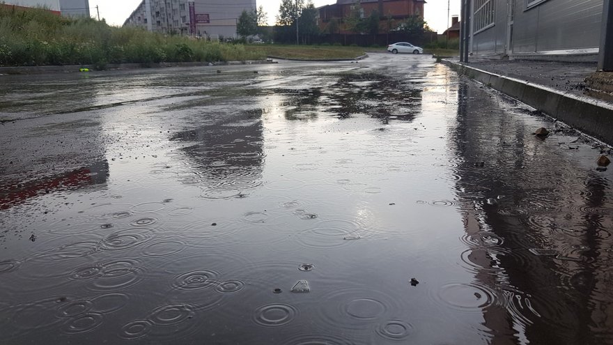 Погода в Саратовской области: дождь с грозой в субботу 