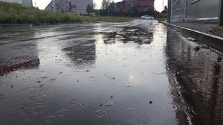 Погода в Саратовской области: дождь с грозой в субботу 