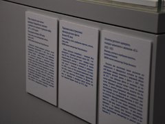 Флоту быть!: в Саратове открыли выставку с картинами Айвазовского и ботиком Петра I