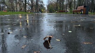 Рабочая неделя в Саратовской области будет дождливой и ветреной