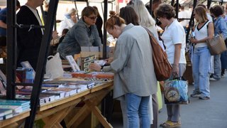 Саратовских книголюбов позвали на фестиваль Волжская волна