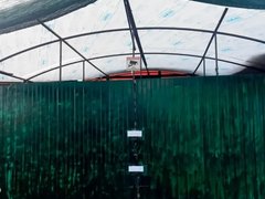 У предпринимательницы опечатали палатку с овощами из-за нелегального мигранта