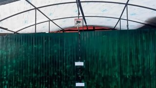 У предпринимательницы опечатали палатку с овощами из-за нелегального мигранта