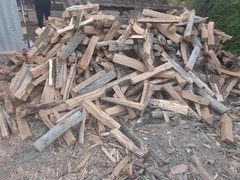 Саратовец спилил сотню деревьев и стал уголовником