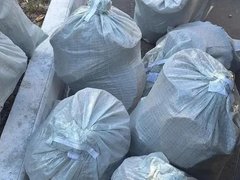 Саратовец спилил сотню деревьев и стал уголовником