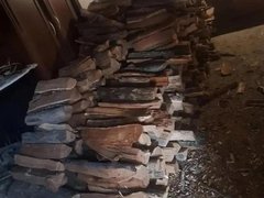 Саратовец спилил сотню деревьев и стал уголовником