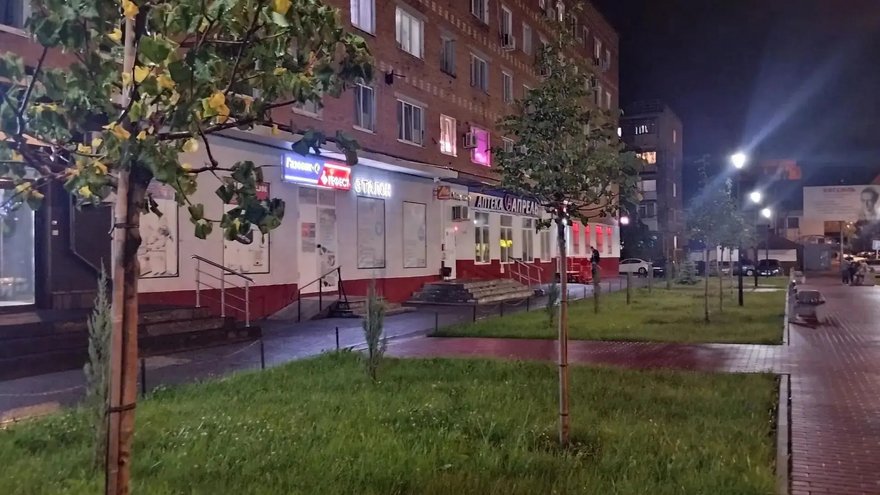 В Энгельсе осенью высадят более 200 деревьев и кустарников