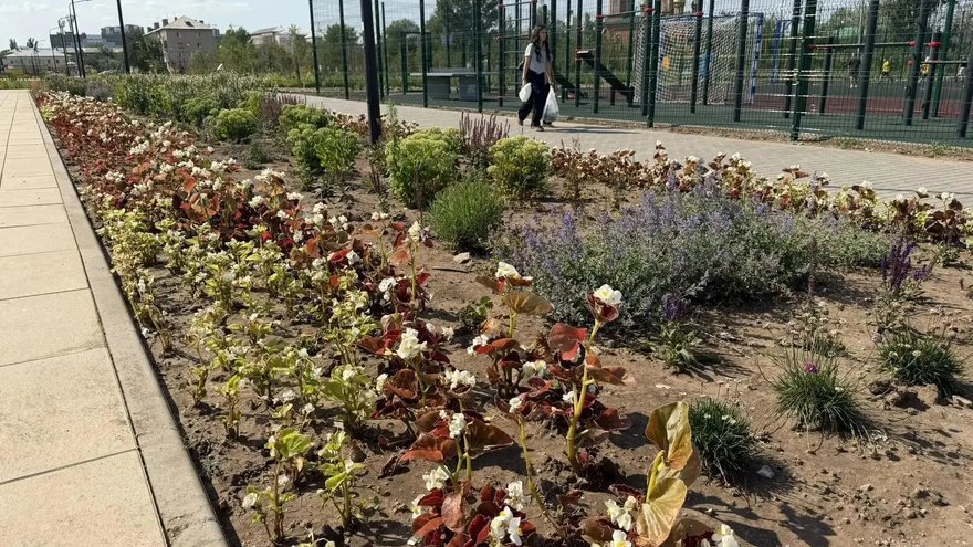 В Энгельсе осенью высадят более 200 деревьев и кустарников