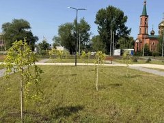 В Энгельсе осенью высадят более 200 деревьев и кустарников