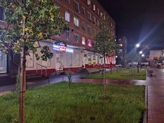 В Энгельсе осенью высадят более 200 деревьев и кустарников