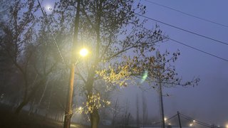 В Саратовской области ждут теплые выходные с небольшими дождями