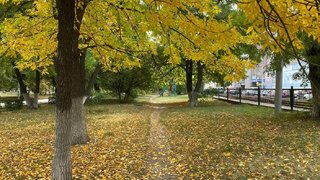 Погода в Саратовской области: тепло и небольшие дожди в понедельник