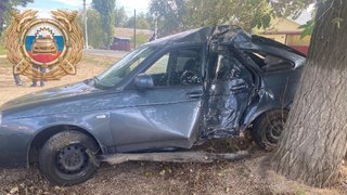 В Саратовской области юный водитель разбил Приору о дерево