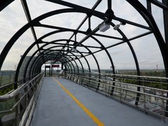 Глава РЖД Белозеров и председатель Госдумы Володин осмотрели новый мост у аэропорта Гагарин