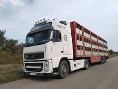 На пути в Волгоградскую область задержали 230 саратовских баранов-нелегалов