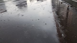 Погода в Саратовской области: небольшой дождь и до +21 градуса