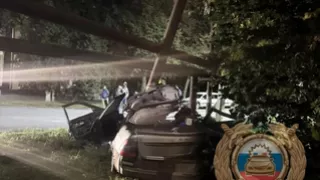 Голенькая возле дерева Голенькая возле дерева