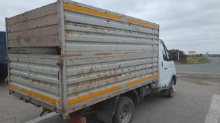 Пытавшийся продать лошадей-нелегалов мужчина попался полиции