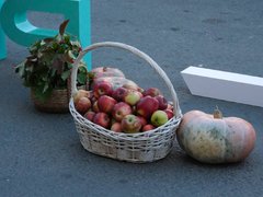 Саратовские музыканты зажгли на набережной в честь Дня города