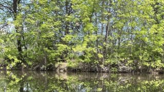 В Саратове в речке нашли мертвого мужчину