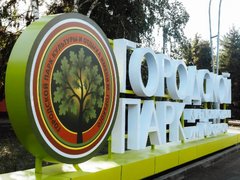 В горпарке Саратова будут заменять неприжившиеся деревья