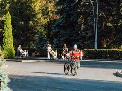 В горпарке Саратова будут заменять неприжившиеся деревья