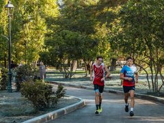 В горпарке Саратова будут заменять неприжившиеся деревья