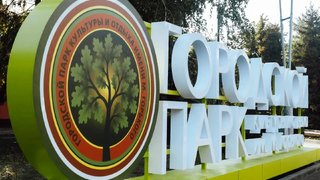 В горпарке Саратова будут заменять неприжившиеся деревья