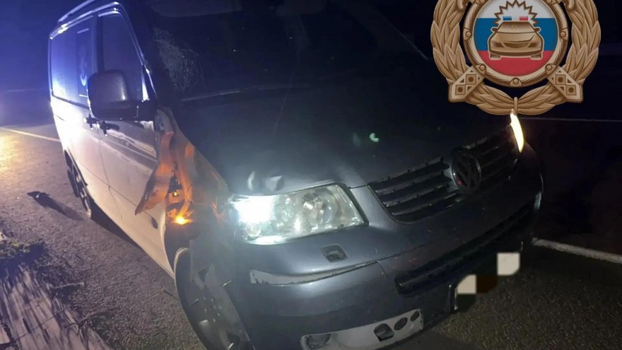 В Саратовской области минивэн насмерть сбил прохожего