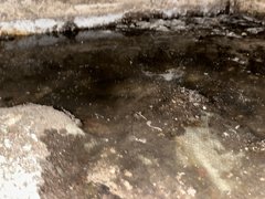 В Саратове дом на улице Уфимцева тонет в канализационной жиже