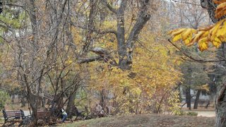Погода в Саратовской области: теплый осенний понедельник
