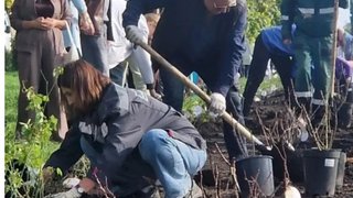 Саратовцы купили и высадили на набережной 250 кустов роз