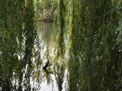 Жители просят проверить стройку Дома у озера на влияние на грунтовые воды