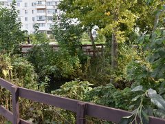 Жители просят проверить стройку Дома у озера на влияние на грунтовые воды