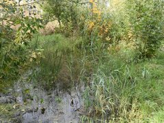 Жители просят проверить стройку Дома у озера на влияние на грунтовые воды